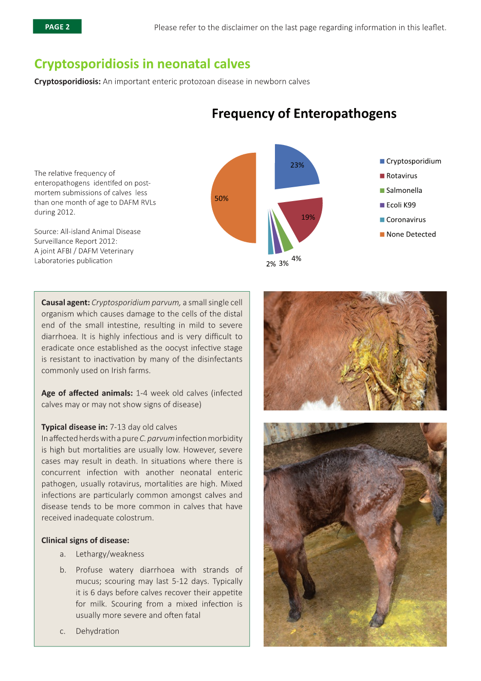 Crypto in calves (98) foto